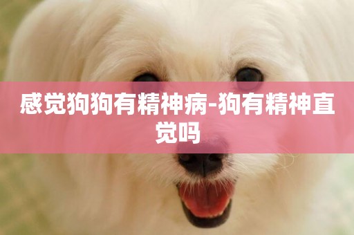 感覺狗狗有精神病-狗有精神直覺嗎