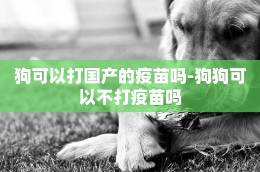 狗可以打國產的疫苗嗎-狗狗可以不打疫苗嗎