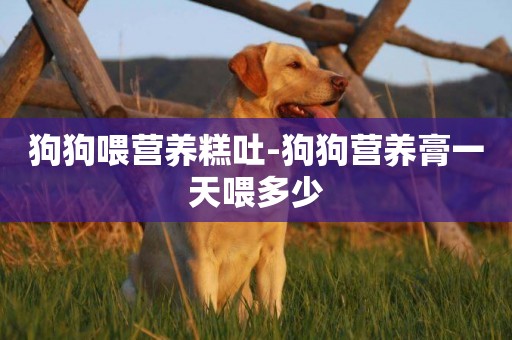 狗狗喂營養糕吐-狗狗營養膏一天喂多少