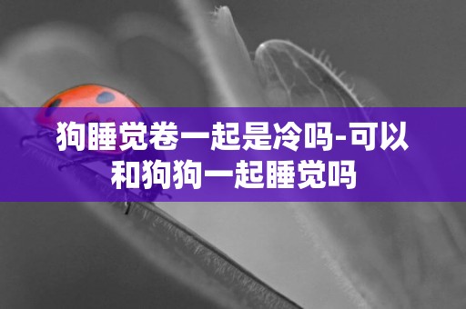 狗睡覺卷一起是冷嗎-可以和狗狗一起睡覺嗎