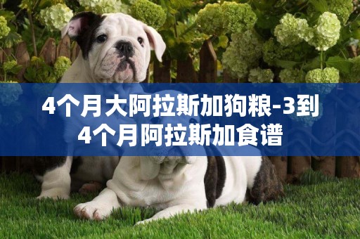 4個月大阿拉斯加狗糧-3到4個月阿拉斯加食譜