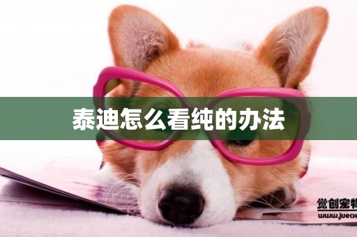 泰迪怎么看純的辦法