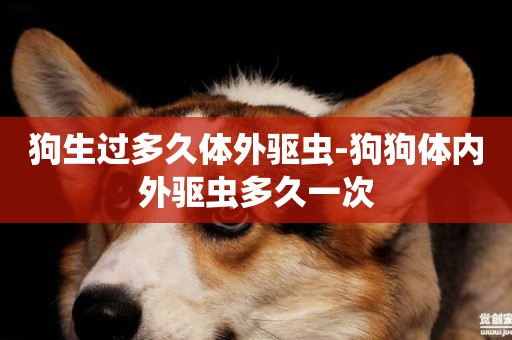 狗生過多久體外驅蟲-狗狗體內外驅蟲多久一次