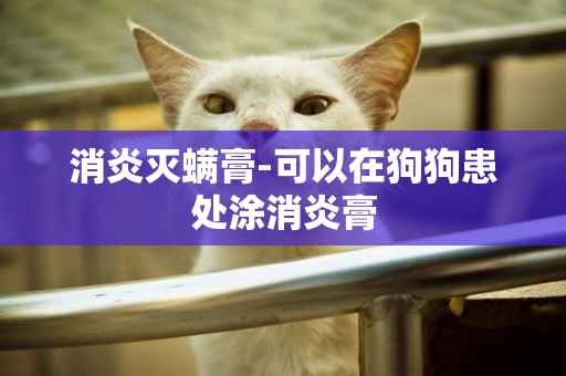消炎滅螨膏-可以在狗狗患處涂消炎膏
