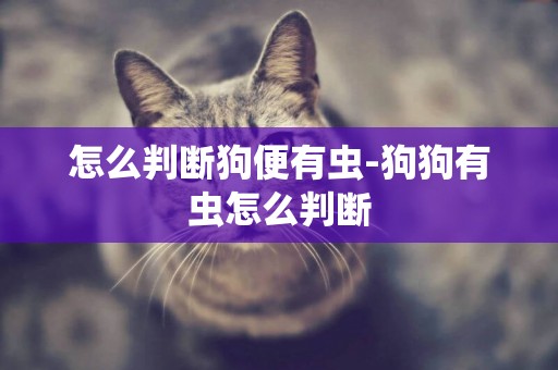 怎么判斷狗便有蟲-狗狗有蟲怎么判斷