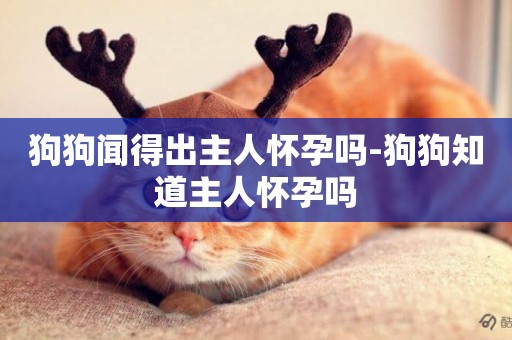 狗狗聞得出主人懷孕嗎-狗狗知道主人懷孕嗎
