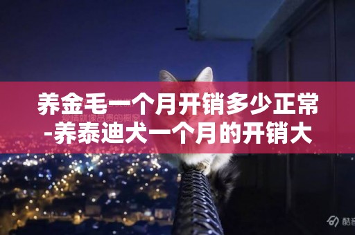 養金毛一個月開銷多少正常-養泰迪犬一個月的開銷大概是多少