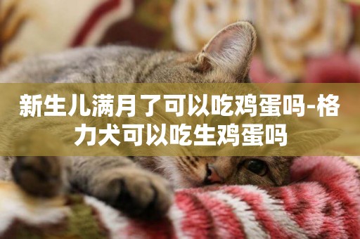 新生兒滿月了可以吃雞蛋嗎-格力犬可以吃生雞蛋嗎