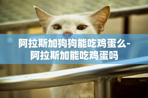 阿拉斯加狗狗能吃雞蛋么-阿拉斯加能吃雞蛋嗎