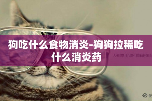 狗吃什么食物消炎-狗狗拉稀吃什么消炎藥