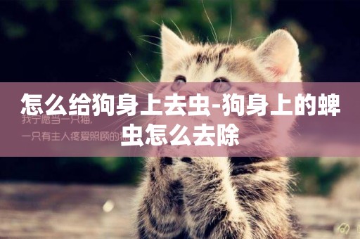 怎么給狗身上去蟲-狗身上的蜱蟲怎么去除
