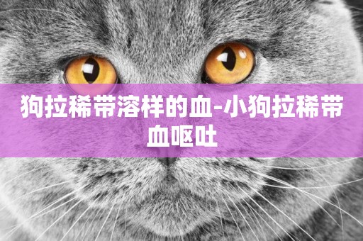 狗拉稀帶溶樣的血-小狗拉稀帶血嘔吐