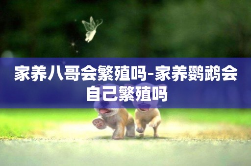 家養八哥會繁殖嗎-家養鸚鵡會自己繁殖嗎