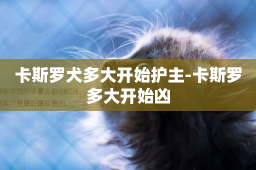 卡斯羅犬多大開始護主-卡斯羅多大開始兇