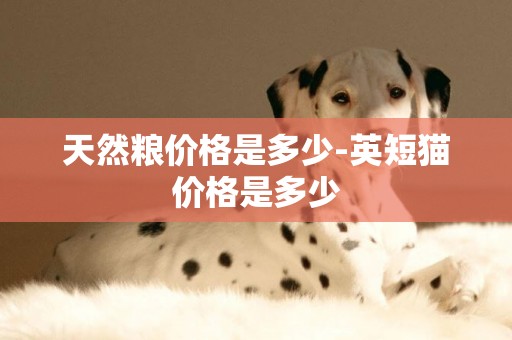 天然糧價格是多少-英短貓價格是多少