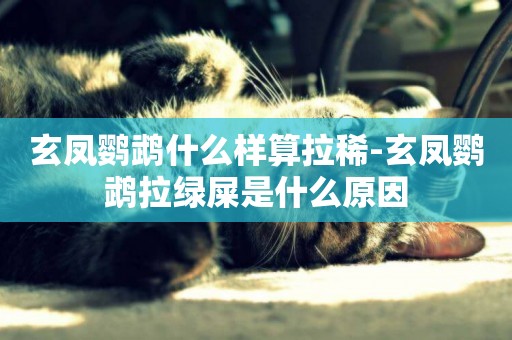 玄鳳鸚鵡什么樣算拉稀-玄鳳鸚鵡拉綠屎是什么原因