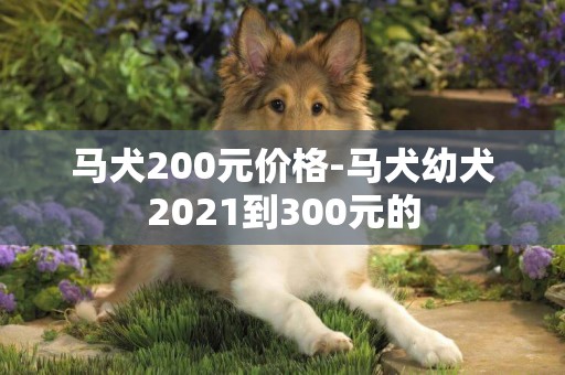馬犬200元價格-馬犬幼犬2021到300元的
