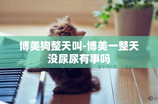 博美狗整天叫-博美一整天沒尿尿有事嗎