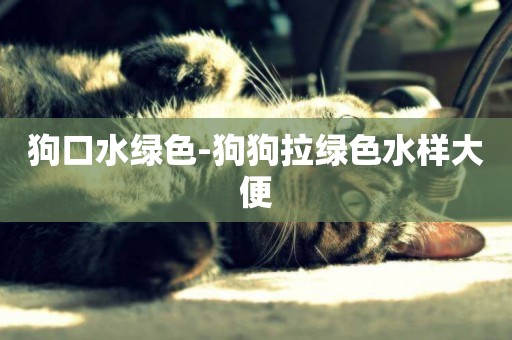 狗口水綠色-狗狗拉綠色水樣大便