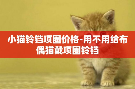 小貓鈴鐺項圈價格-用不用給布偶貓戴項圈鈴鐺