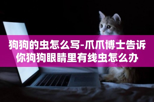 狗狗的蟲怎么寫-爪爪博士告訴你狗狗眼睛里有線蟲怎么辦