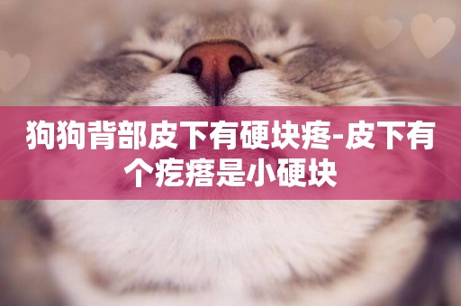 狗狗背部皮下有硬塊疼-皮下有個疙瘩是小硬塊