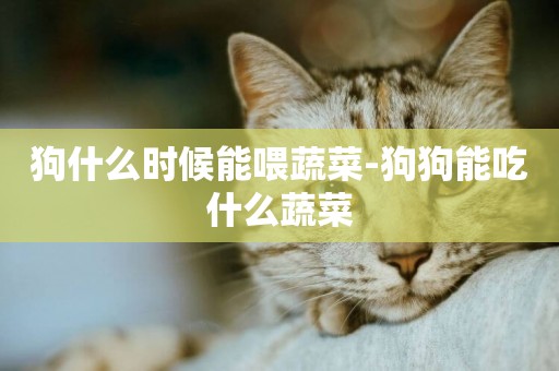 狗什么時候能喂蔬菜-狗狗能吃什么蔬菜