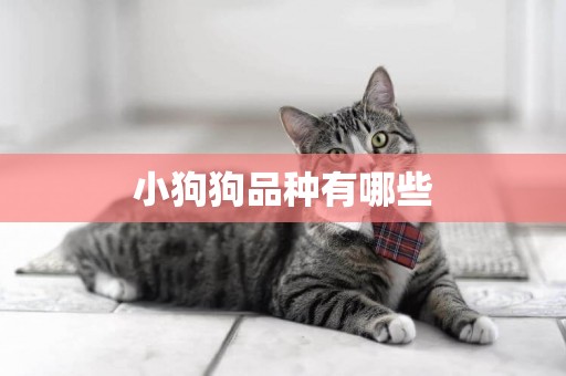 小狗狗品種有哪些