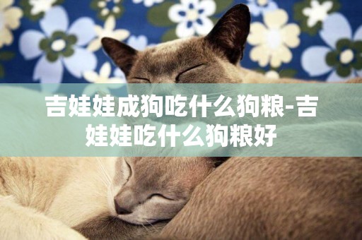 吉娃娃成狗吃什么狗糧-吉娃娃吃什么狗糧好