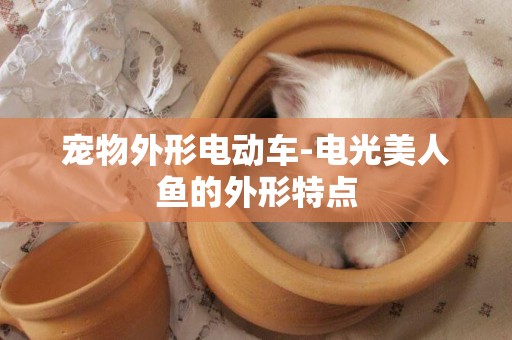 寵物外形電動車-電光美人魚的外形特點