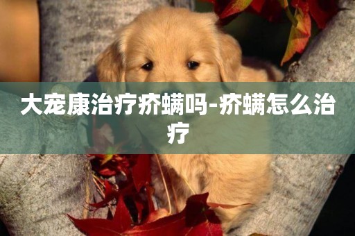 大寵康治療疥螨嗎-疥螨怎么治療