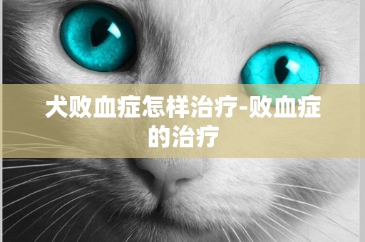 犬敗血癥怎樣治療-敗血癥的治療