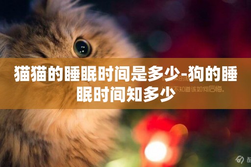 貓貓的睡眠時間是多少-狗的睡眠時間知多少