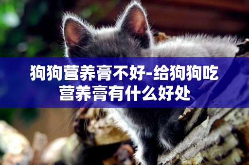 狗狗營養膏不好-給狗狗吃營養膏有什么好處
