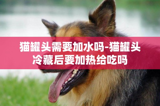 貓罐頭需要加水嗎-貓罐頭冷藏后要加熱給吃嗎
