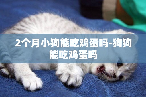 2個月小狗能吃雞蛋嗎-狗狗能吃雞蛋嗎