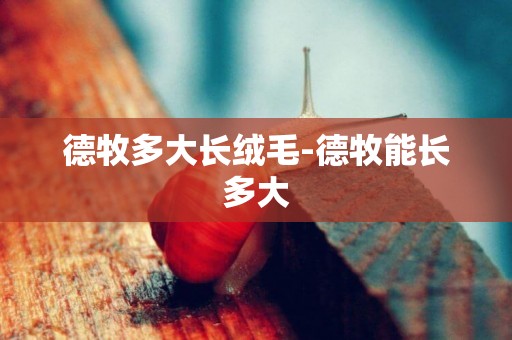 德牧多大長絨毛-德牧能長多大