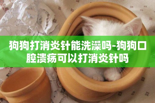 狗狗打消炎針能洗澡嗎-狗狗口腔潰瘍可以打消炎針嗎