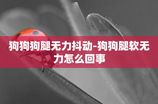 狗狗狗腿無力抖動-狗狗腿軟無力怎么回事