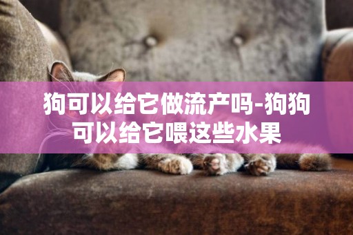 狗可以給它做流產嗎-狗狗可以給它喂這些水果