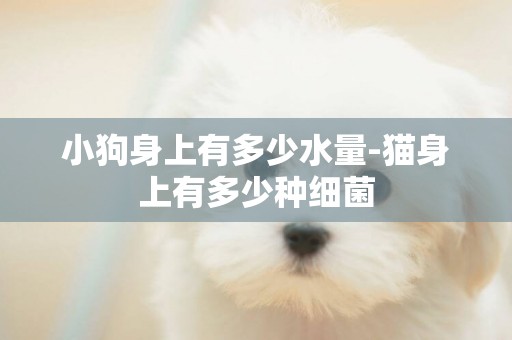 小狗身上有多少水量-貓身上有多少種細菌