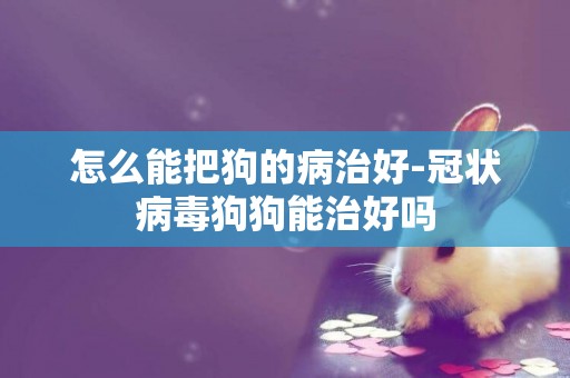 怎么能把狗的病治好-冠狀病毒狗狗能治好嗎