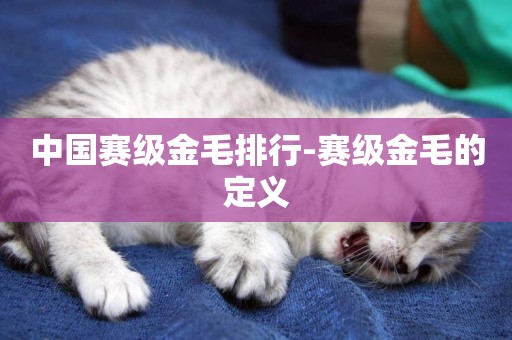 中國賽級金毛排行-賽級金毛的定義