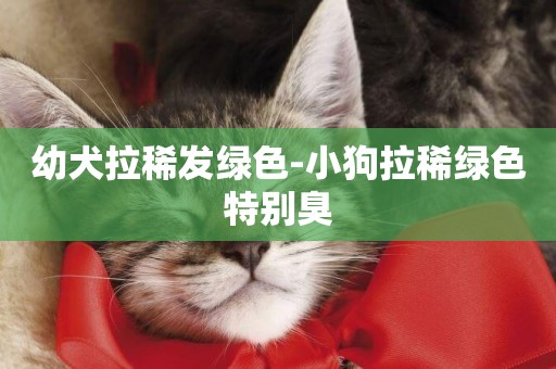 幼犬拉稀發綠色-小狗拉稀綠色特別臭