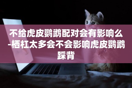 不給虎皮鸚鵡配對會有影響么-棲杠太多會不會影響虎皮鸚鵡踩背