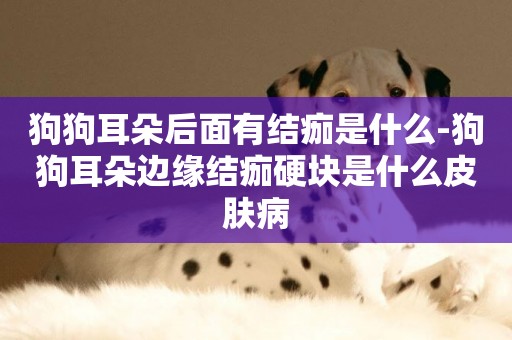 狗狗耳朵后面有結痂是什么-狗狗耳朵邊緣結痂硬塊是什么皮膚病