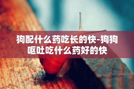 狗配什么藥吃長的快-狗狗嘔吐吃什么藥好的快