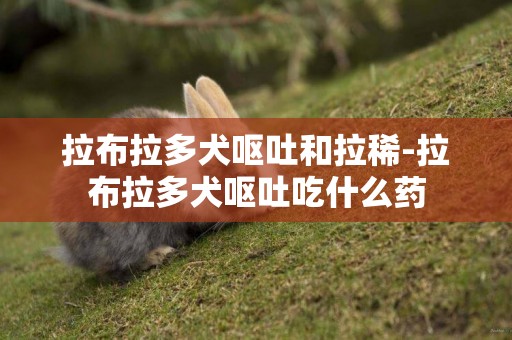 拉布拉多犬嘔吐和拉稀-拉布拉多犬嘔吐吃什么藥