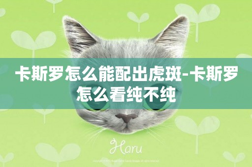 卡斯羅怎么能配出虎斑-卡斯羅怎么看純不純