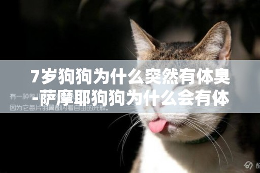 7歲狗狗為什么突然有體臭-薩摩耶狗狗為什么會有體臭
